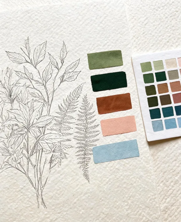 Botanical sketch and color card